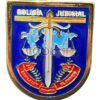 Distintivo metálico Función Policía Judicial CNP