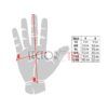 Guantes anticorte ANTS Legion