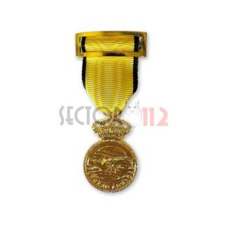 Medalla Conmemorativa Dana 2024