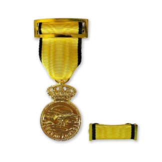 Medalla Conmemorativa   pasador Dana 2024