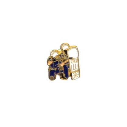 Pin Policía Nacional Antidisturbios