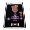 Conjunto Medalla dedicación Policial XX Años